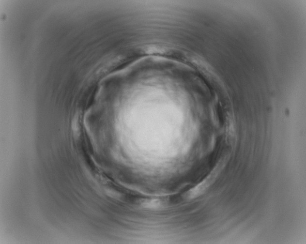 X0000081340074200701251909