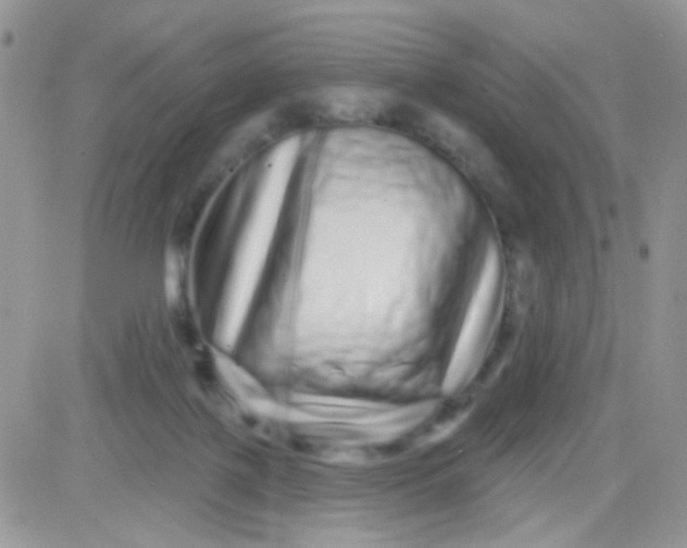 X0000081340075200701251909
