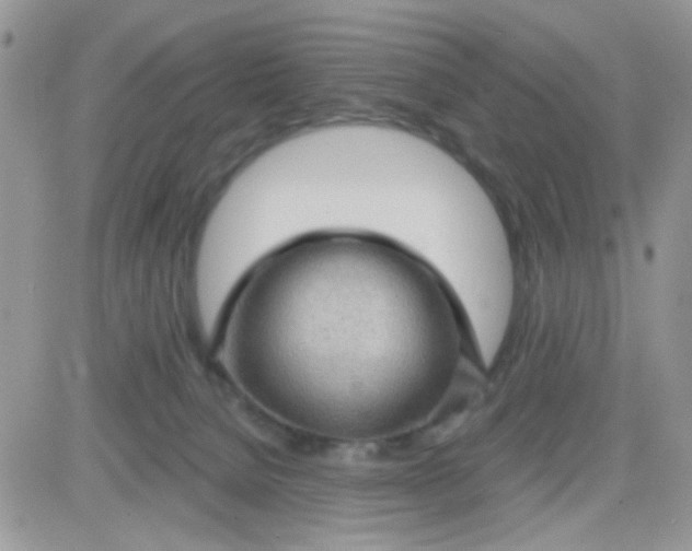 X0000081340080200701251909