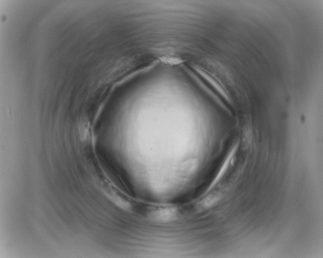 X0000081340081200701251909