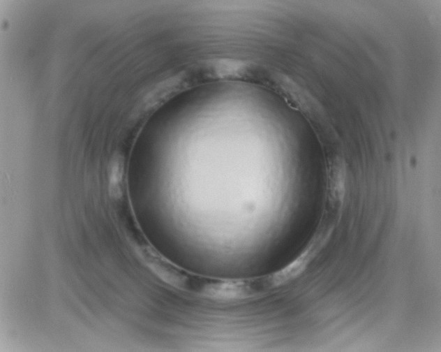 X0000081340082200701251909