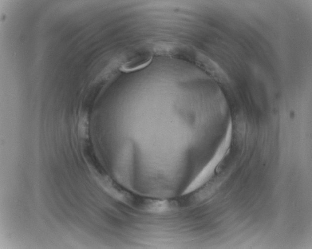 X0000081340083200701251909