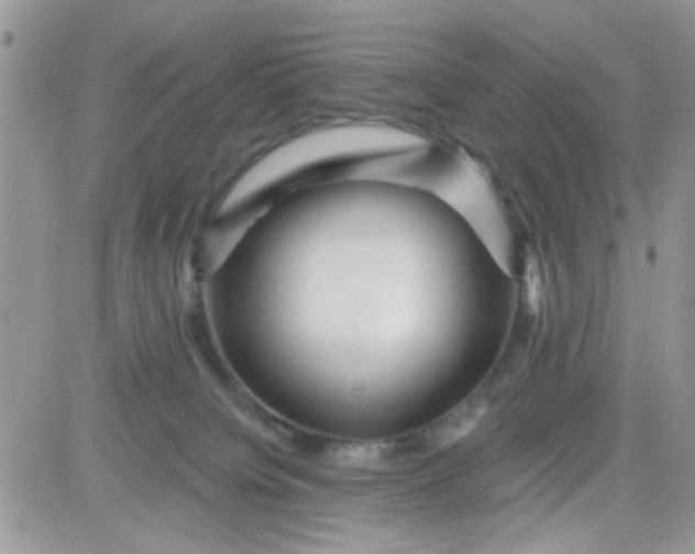 X0000081340084200701251909