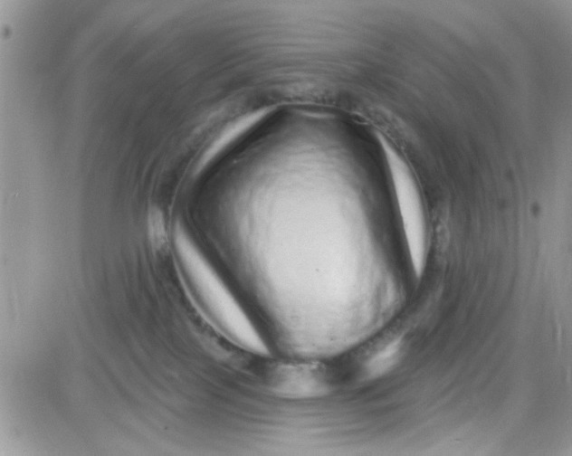 X0000081340089200701251910