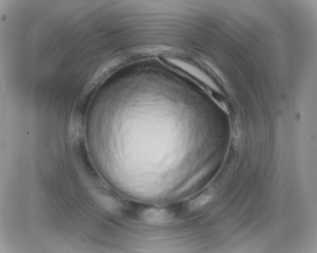 X0000081340119200701251909