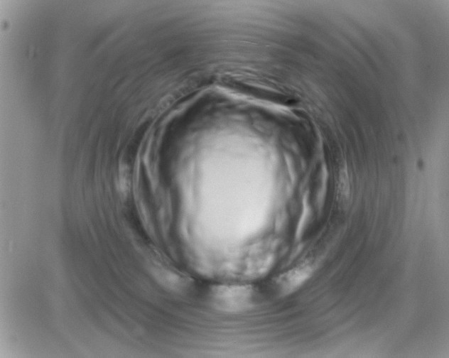 X0000081340135200701251908