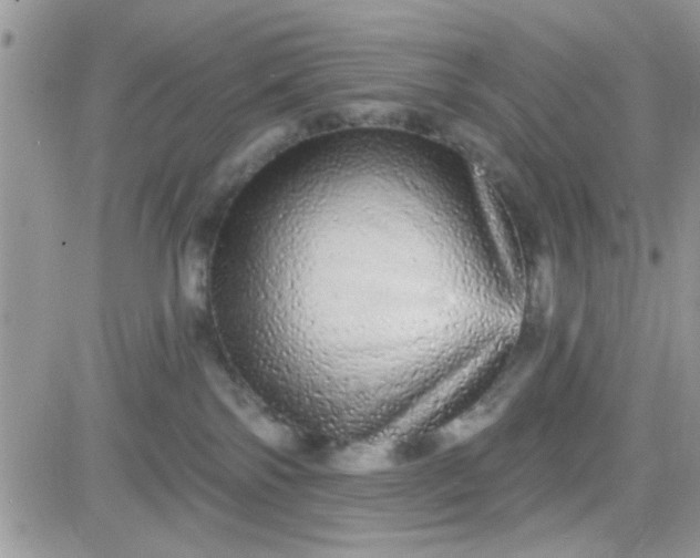 X0000081340138200701251908