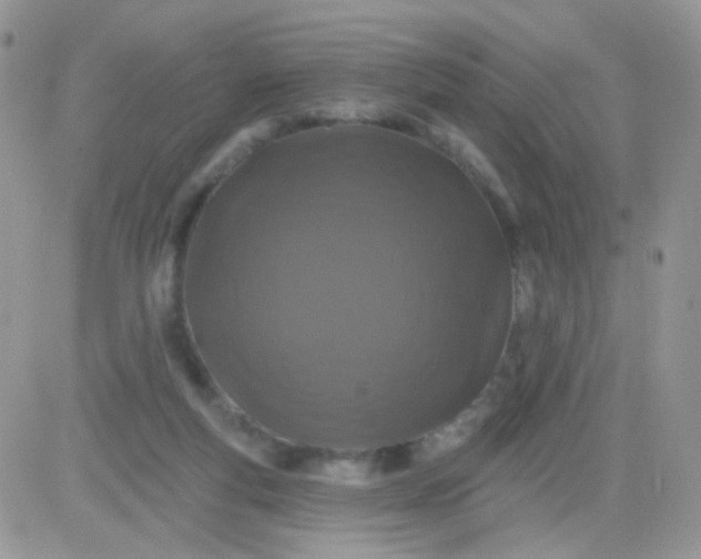 X0000081340163200701251908