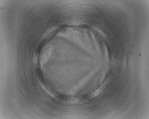 X0000081340166200701251908