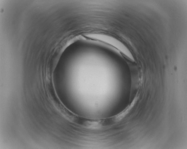 X0000081340170200701251908