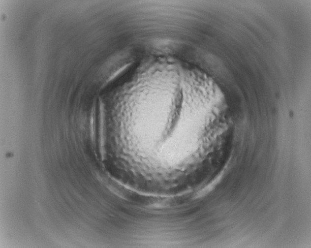 X0000081340178200701251908