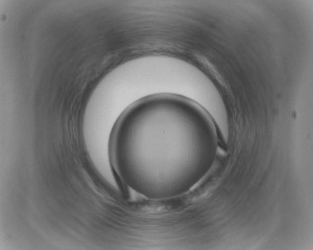 X0000081340213200701251907