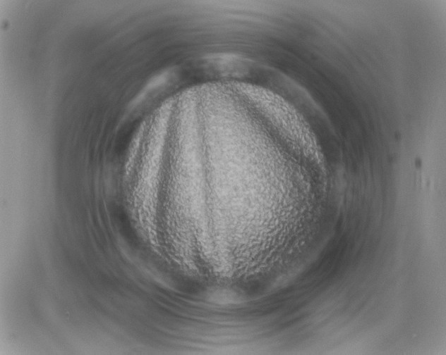 X0000081340218200701251907