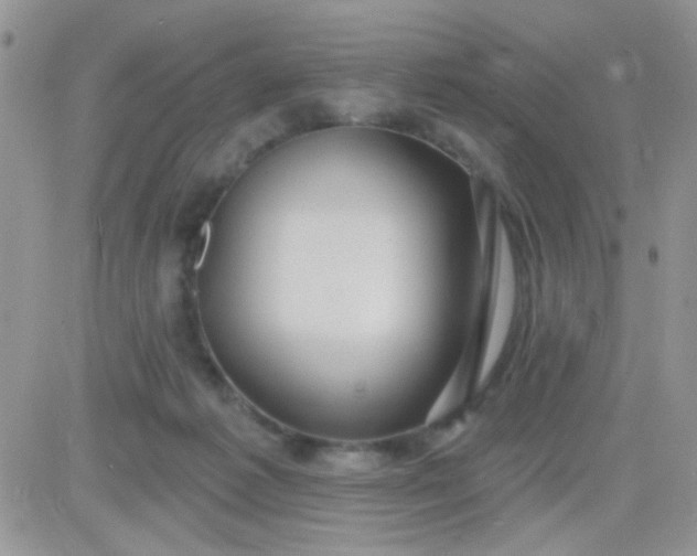 X0000081340221200701251907