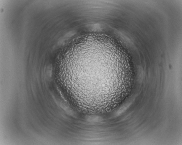 X0000081340230200701251907