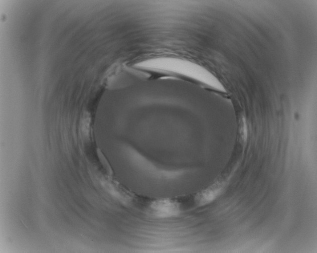 X0000081340231200701251907
