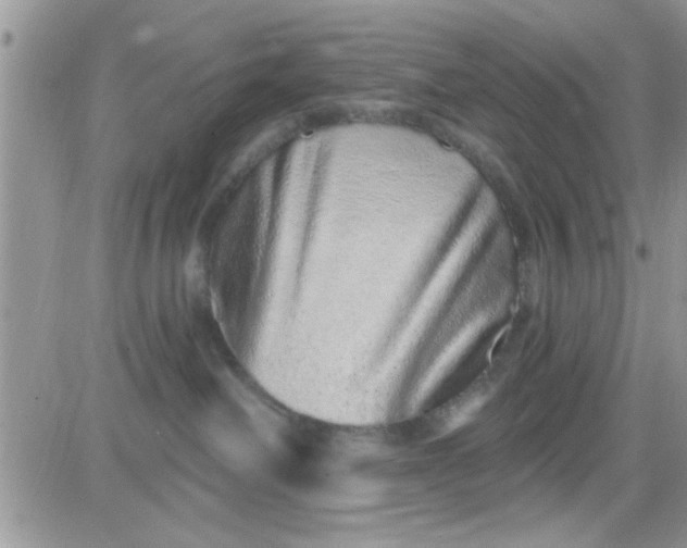 X0000081340238200701251907