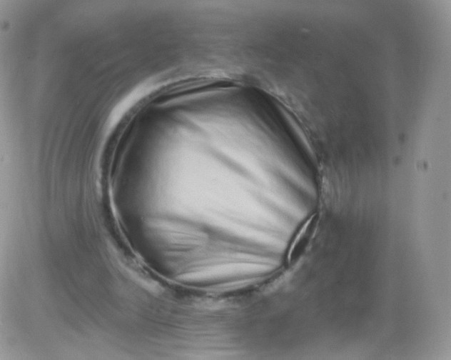 X0000081340246200701251906