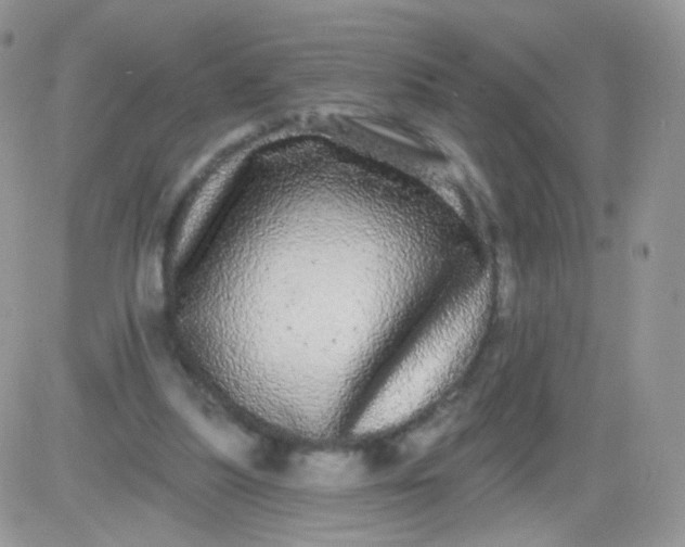 X0000081340251200701251906