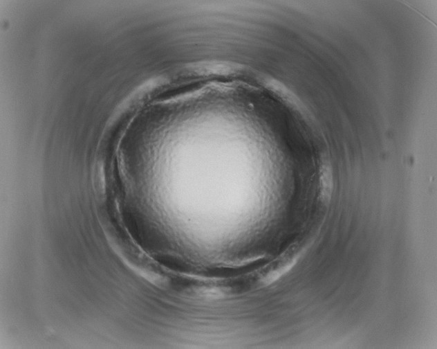 X0000081340254200701251906