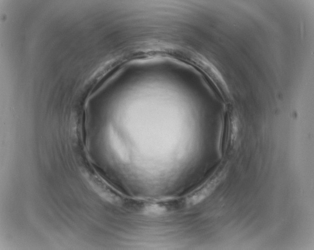 X0000081340257200701251906