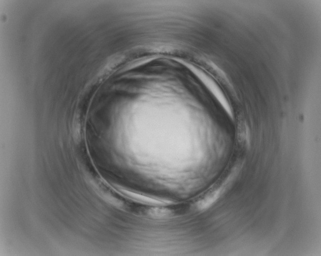 X0000081340261200701251906