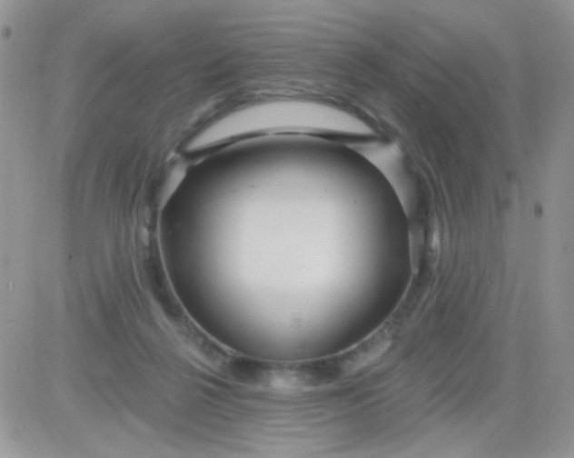 X0000081340264200701251906