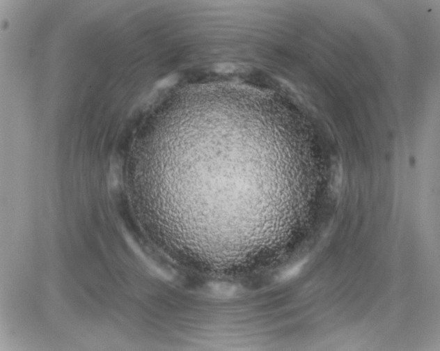 X0000081340272200701251906