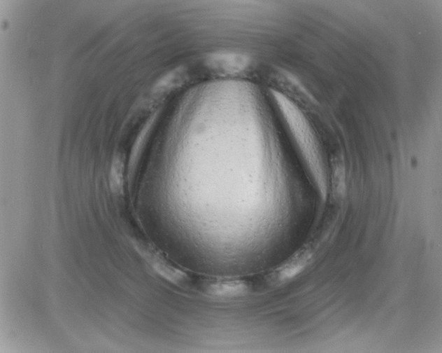 X0000081340274200701251906