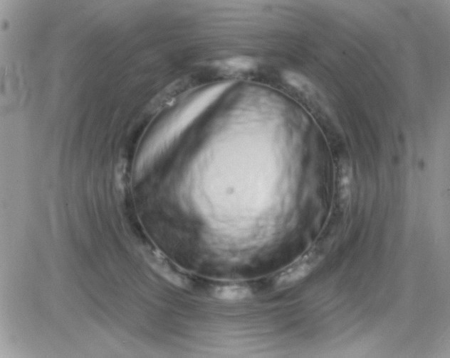X0000081340275200701251906