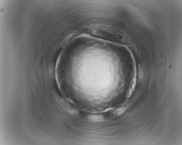 X0000081340283200701251906