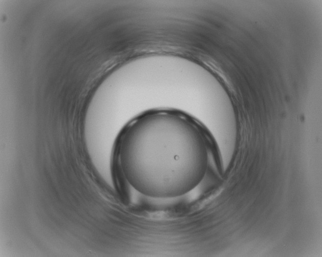 X0000081340309200701251905