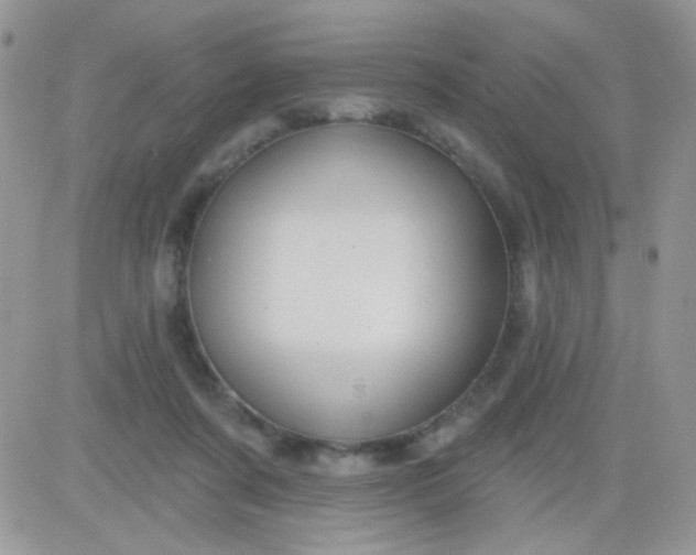 X0000081340311200701251905