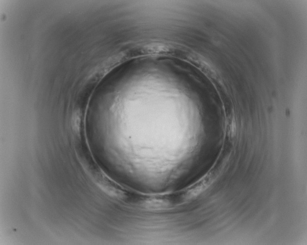 X0000081340315200701251905