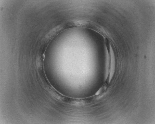 X0000081340317200701251905