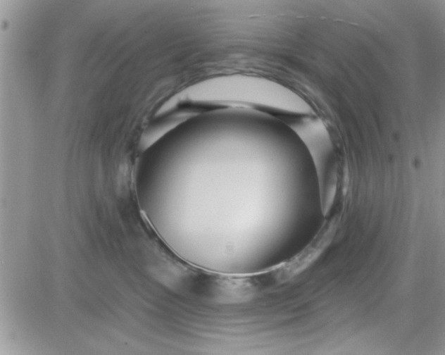 X0000081340333200701251905