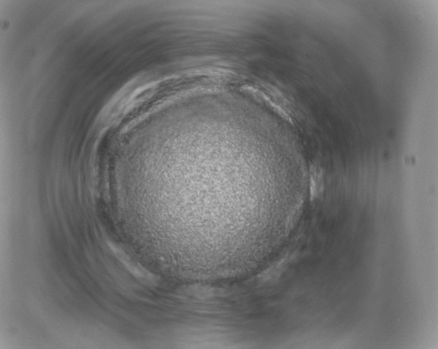 X0000081340339200701251904