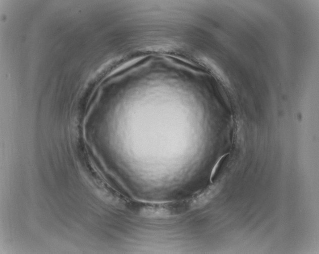 X0000081340354200701251904