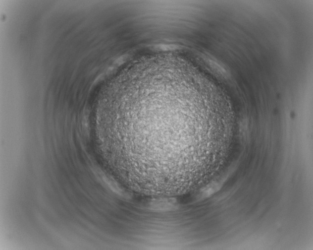 X0000081340373200701251905