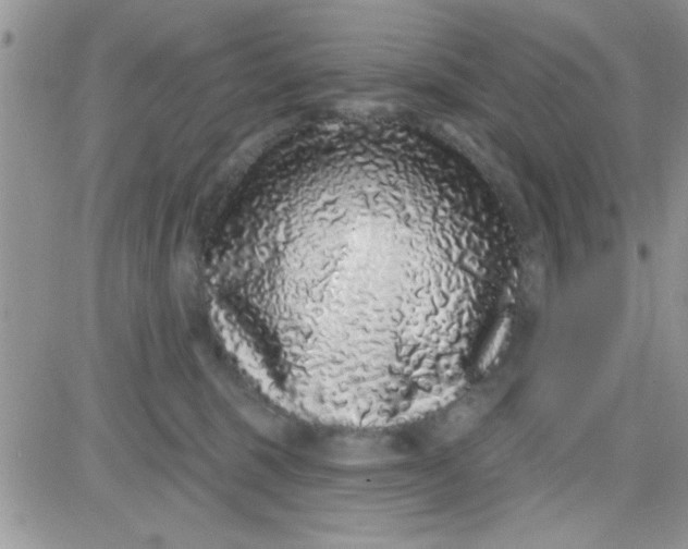 X0000081340375200701251905