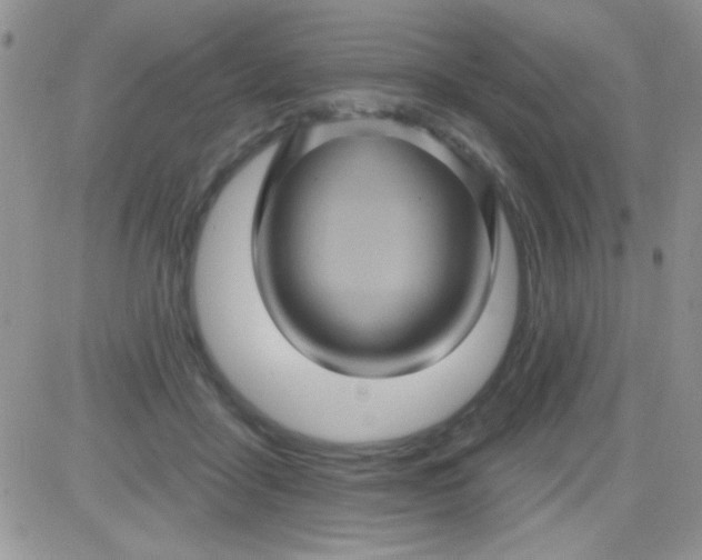 X0000081340411200701251904