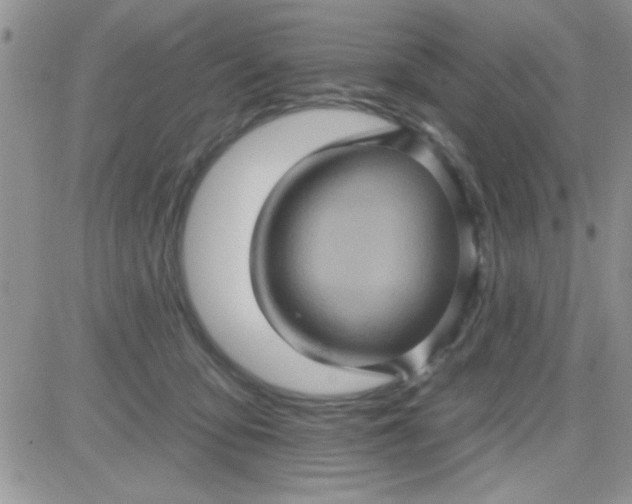 X0000081340419200701251904