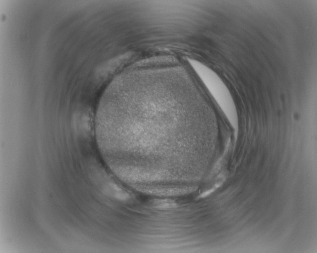 X0000081340424200701251904