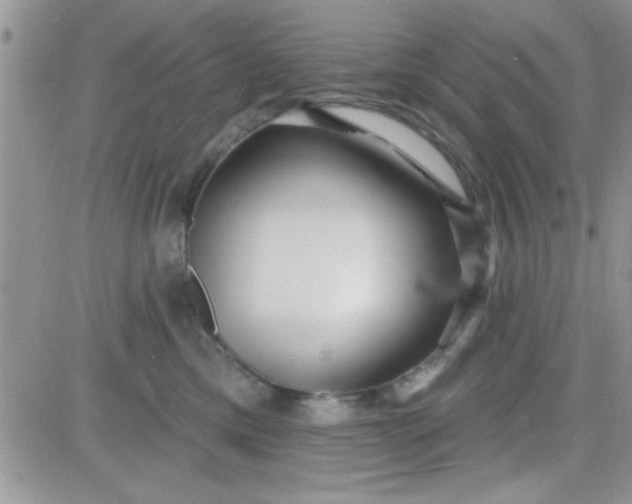 X0000081340425200701251904