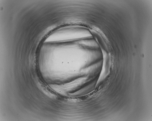 X0000081340439200701251903