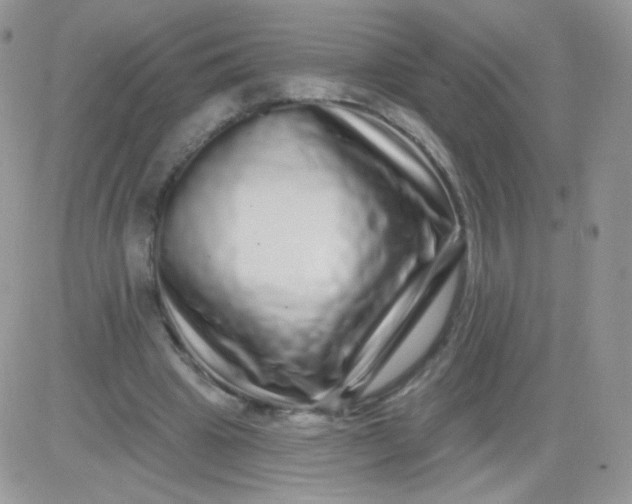 X0000081340441200701251903