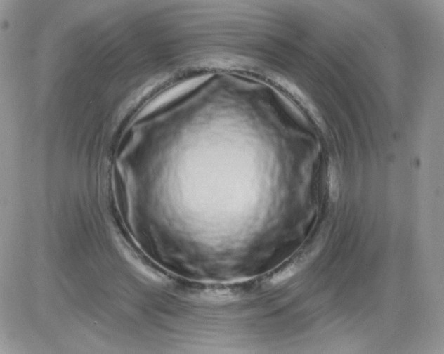 X0000081340445200701251903