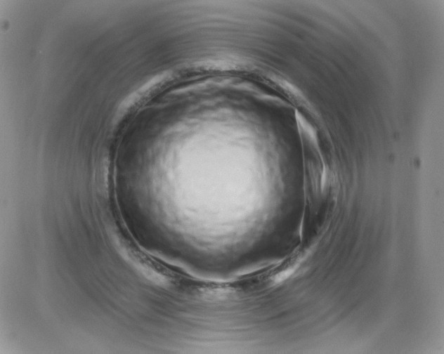 X0000081340446200701251903