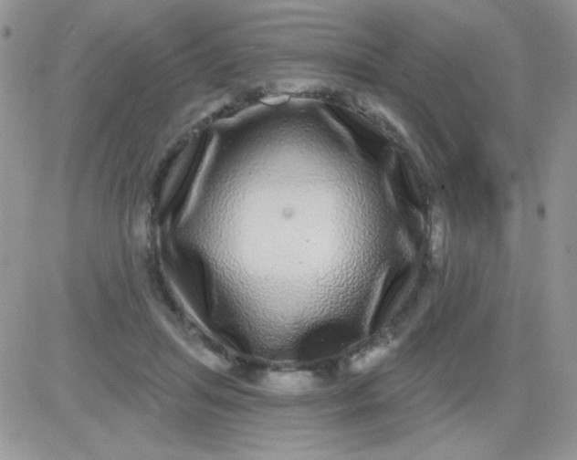 X0000081340455200701251903