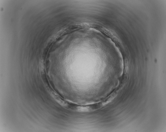X0000081340457200701251903